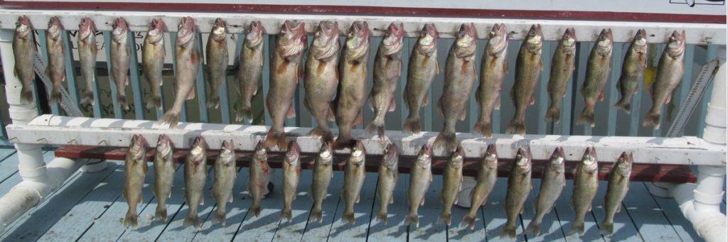 The Best St. Croix Walleye Fishing Rods – Fishing Gear Guys